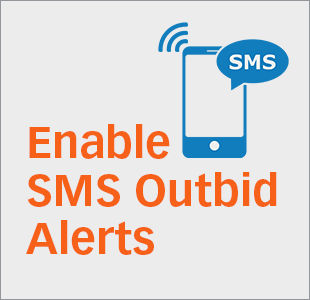 Never miss out on winning an auction for not being told when you've been outbid. Use Liquidation.com and enable SMS, or text message alerts, and get notified on the go whenever someone has outbid you.