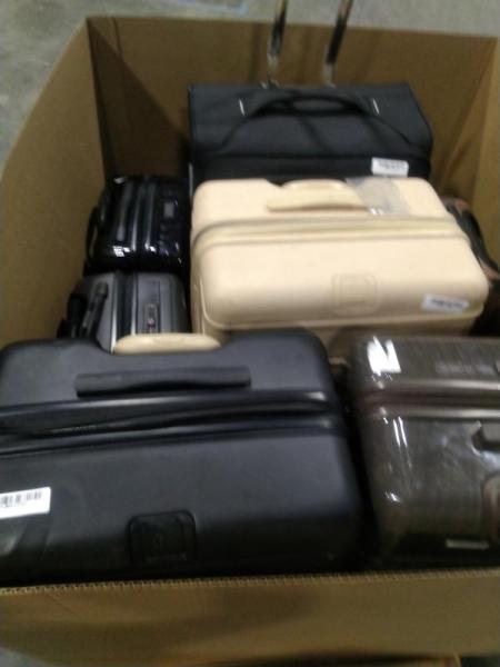 Luxury Department Store - Luggage