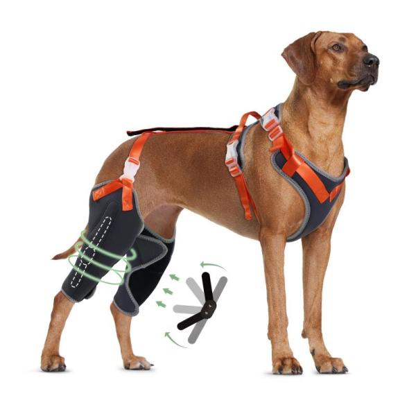 Pet Products - Lispoo Dog Knee Brace for Torn Acl Hind Leg, Ivdd Dog Back Brace - MSRP $7,465