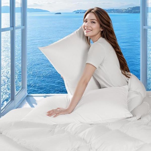 Home - LIANLAM 20" x 36" King Luxury Goose Down Pillow, DUODUO 72" x 84" Full Electric Heated Blanket - MSRP $10,588