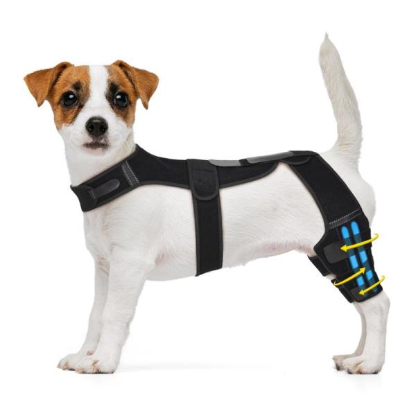 Pet - GoGoPaw Double Leg Dog Knee Brace for Back Leg, MayproTech Dog Seat Cover Back Seat for Truck - MSRP $3,553