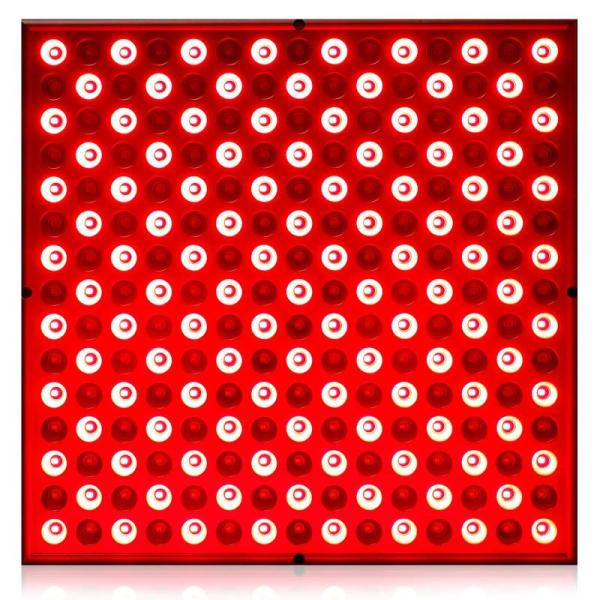 Drugstore - LED Red Light Therapy Panel, UTK Shoulder Heating Pad, Rechargeable Digital Hearing Aids - MSRP $11,164