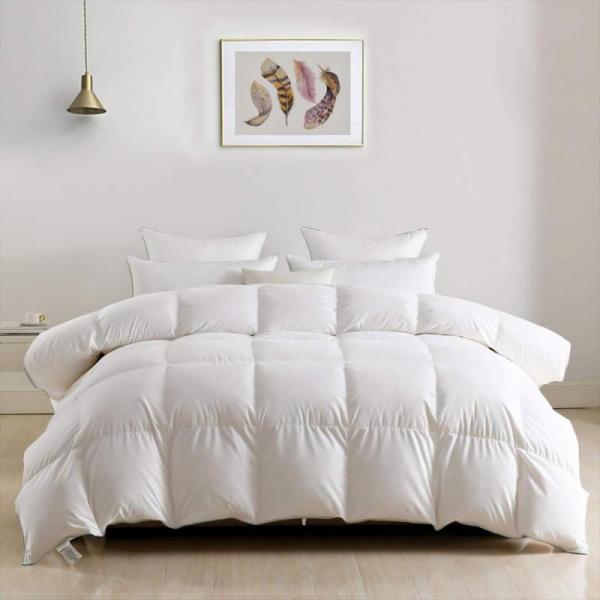 Home - DWR Luxury Down Feather Fibers Comforter Full/Queen, Lincove Cloud Natural Canadian Down Pillow - MSRP $3,543
