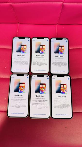 Apple iPhone 13 256GB, 17 units, MSRP: $16,000