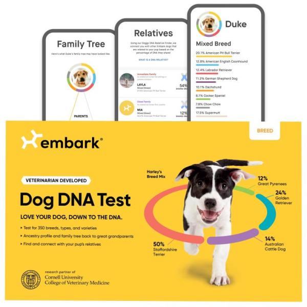 Pet Products - Embark Dog Breed Identification Kit, OneTigris Dog Lift Harness for Large Dogs - MSRP $1,784