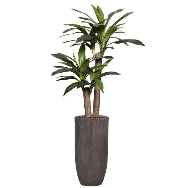 Home - Vintage Home Faux Dracaena Corn Plant, Allied Brass Mirror, Allied Brass Double Towel Bar - MSRP $2,235