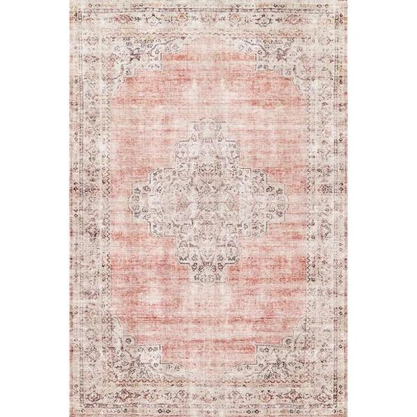 Furniture - Vintage Boho Style Area Rug, Jinchan Runner Rug, Shoe Storage Organizer - MSRP $3,392