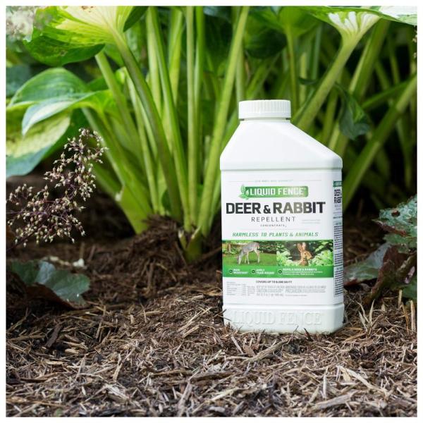 Lawn and Garden - Liquid Fence Garden Safe Deer & Rabbit Repellent, Miracle LED Grow Light - MSRP $1,785