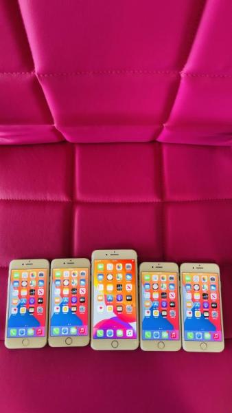 Apple iPhone 6s & 6 Plus, 65 units, MSRP: $42,250