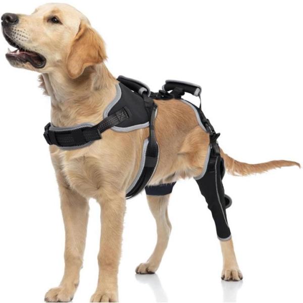 Pet - KERBIY TIPOOP Large Dog Knee Brace for Back Leg, CGOLDENWALL 200W Dog Hair Clipper for Grooming Kit - MSRP $5,888