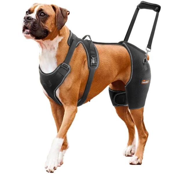 Pet Products - CHAMIN Dog Hip Brace Support, KSIIA 17x12Washable Dog Bed, oneisall Dog Hair Vacuum - MSRP $8,600