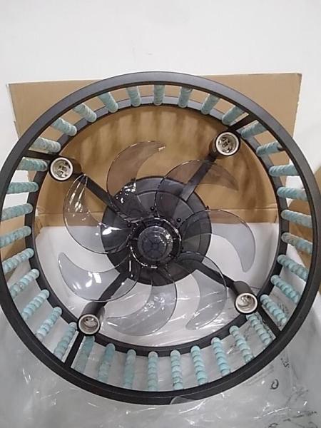 20" Bobo Caged Ceiling Fan With Light And Remote Control - MSRP $184