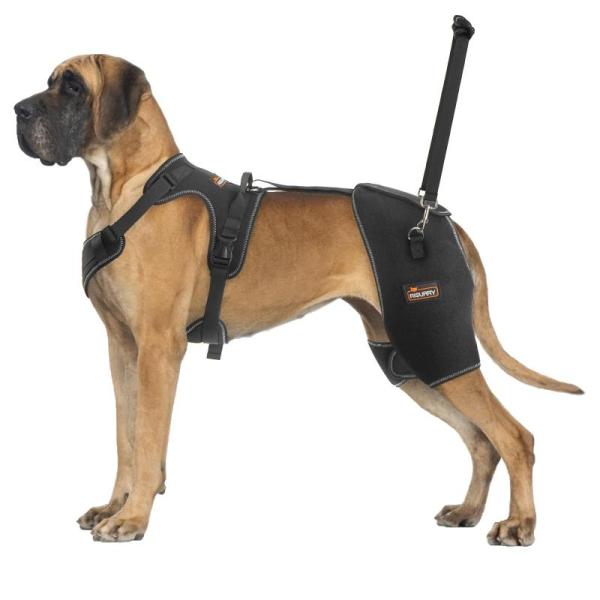 Pet - CHAMIN/RISURRY XXL Dog Hip Brace Support, OneTigris Full Body Large Dog Lifter Harness with Handle - MSRP $8,387