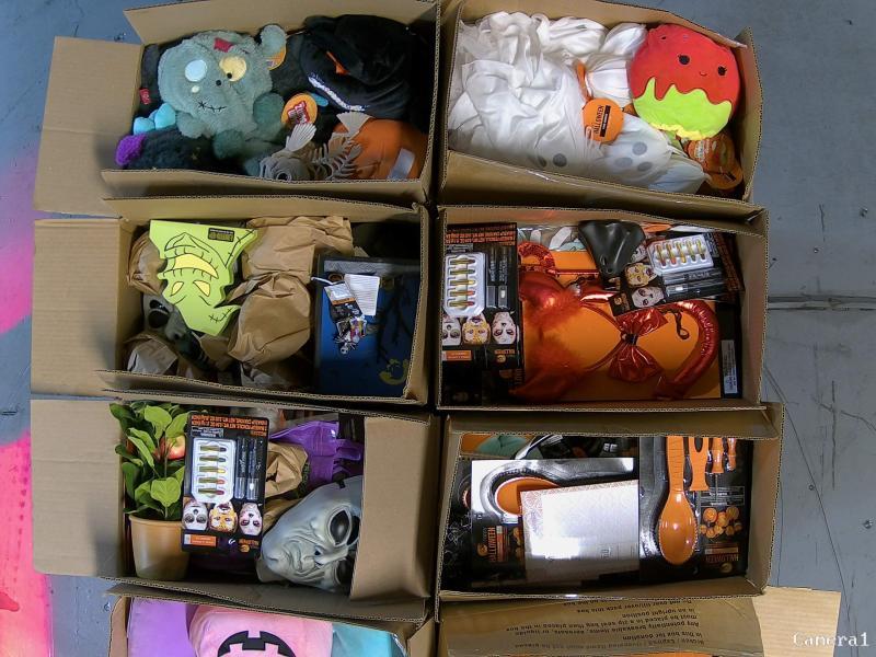 General Merch - Holiday Decor, Nightmare Before Christmas Light Up Pumpkin Scenes, Sally Animated Plushes -MSRP $15,409