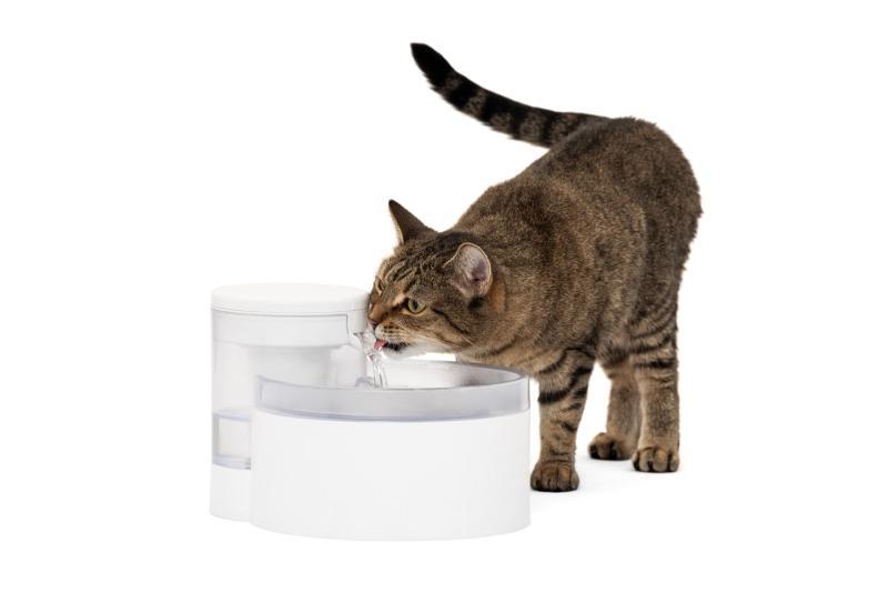 Amazon Clearance - Pet Products - PetSafe Outlast Pumpless Cat Water Fountain, Hartz Delectables Stew Senior Cat Treats - MSRP $18,444