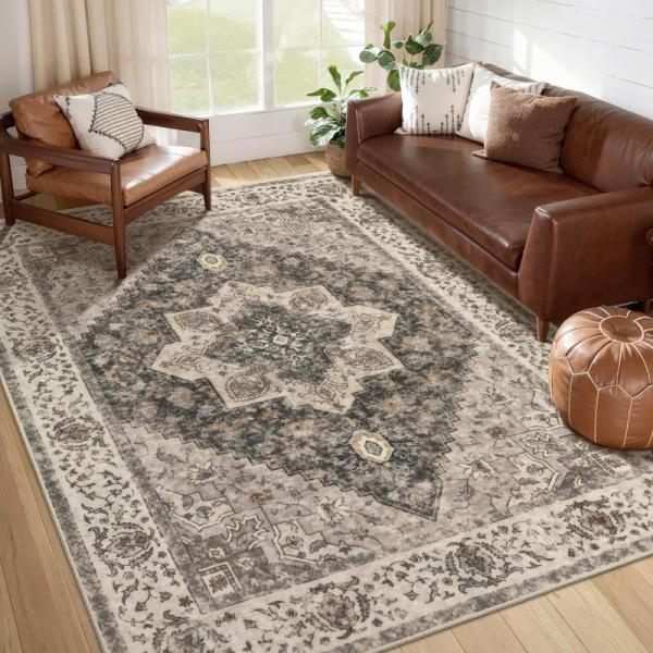 Tangsoo 6x9 Area Rug Washable Rug for Living Room Vintage - MSRP $65