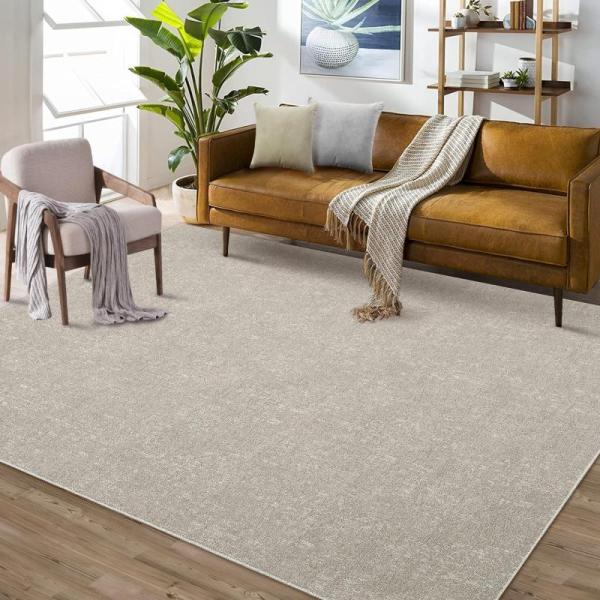ROYHOME 9x12 Area Rug Machine Washable Modern Solid - MSRP $146