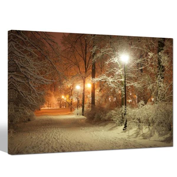 Sechars - Warm Winter Park Canvas Prints Alley and Shining - MSRP $54