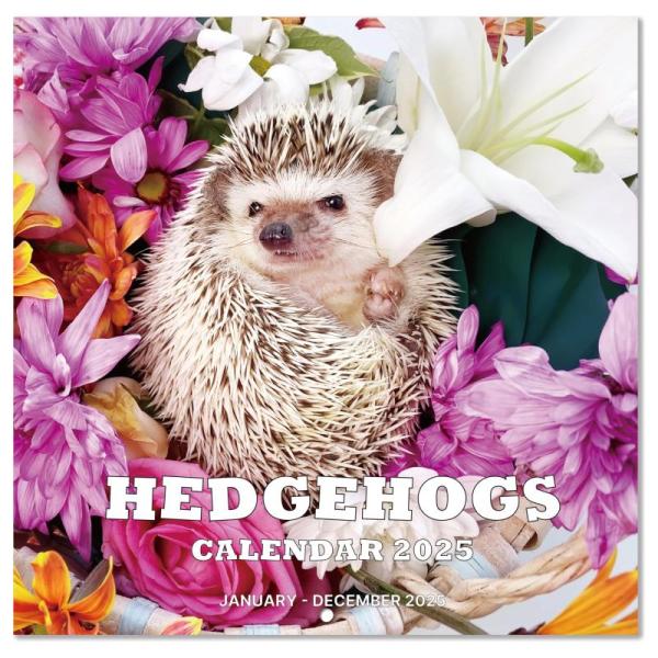 Office Products - Hedgehogs Calendar, Angkoyt Wrist Rest & Mouse Pad, Snow Windows Stencils - MSRP $8,909