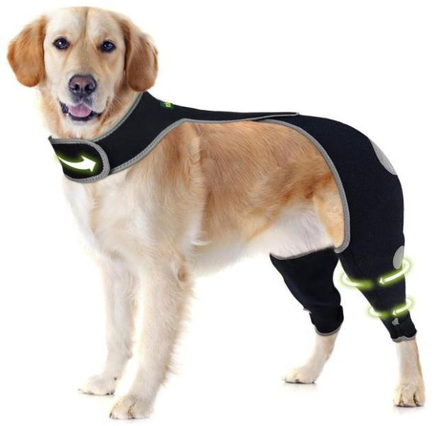 Pet Products - Kisfly Dog Sleeve to Prevent Licking, Petkit Automatic Cat Feeder - MSRP $8,212