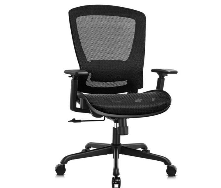 ELABEST Ergonomic Desk Chair - Adjustable Lumbar Support & Armrests, Tilt, Comfort Wide Seat, Black - MSRP $219