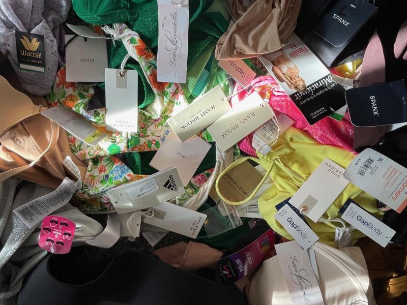 Luxury Swim Intimates Ramy Brook, Gap, Spanx, Linea Donatella, and More $5,177