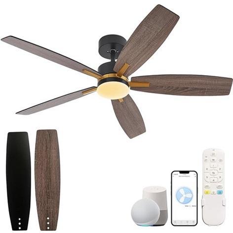 Home - Ceiling Fans with Lights, Van Gogh Starry Night with Cats Wall Art, Blue Matisse Flower Art Set - MSRP $7,928