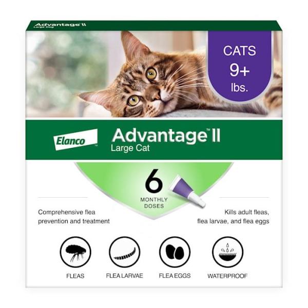 Pet Products - Advantage II Large Cat Vet-Recommended Flea Treatment, Catego Flea and Tick Treatment - MSRP $2,171