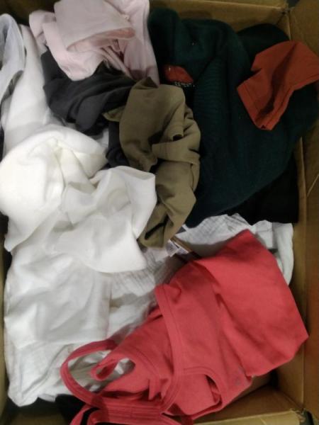 Luxury Department Store - Apparel