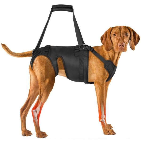 Pet Products - RC Pet Products Tempo No Pull Dog Harness, Chalklit Dog Lift Harness - MSRP $1,505
