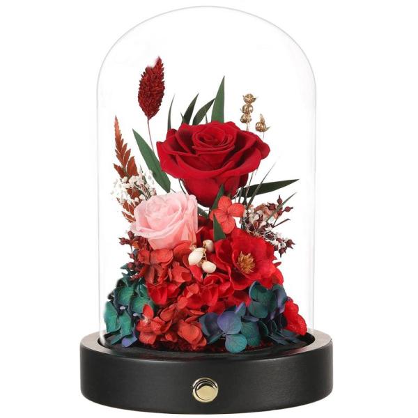 Home - Forever Real Preserved Roses, Mr. Ye Bed Pillows, Briful Faux Ivy Plant - MSRP $13,363