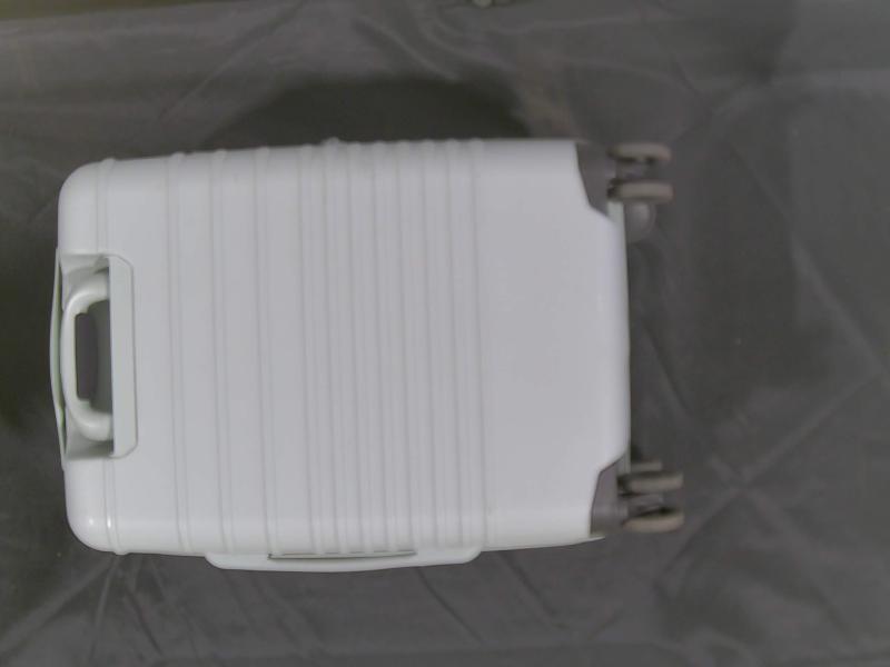 Luxury Department Store - Luggage - Mystery Box - Original MSRP $210
