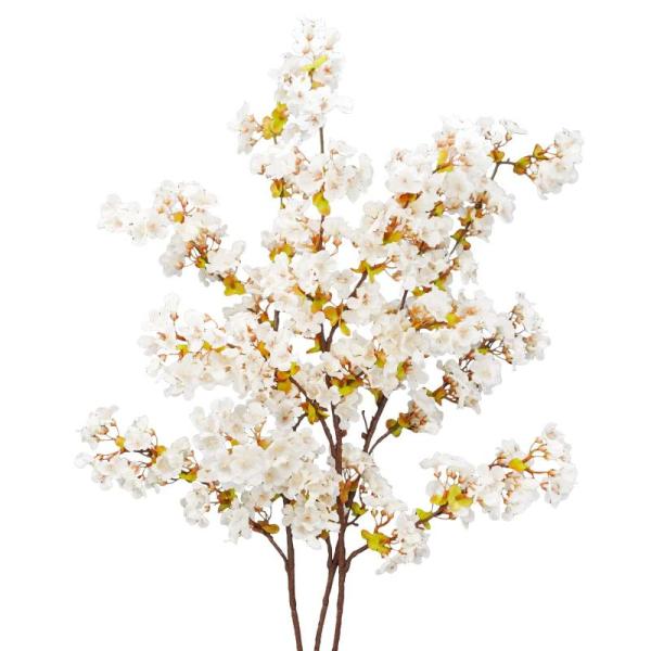 Home - Uieke Silk Cherry Blossom Branches, Cozytoon Cotton Weave Bed Blankets, KOKOSIRI Paper Towel Holder -MSRP $6,529