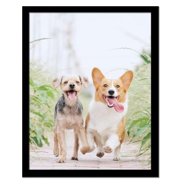 icariery Black Picture Frame, 17x22 - MSRP $36