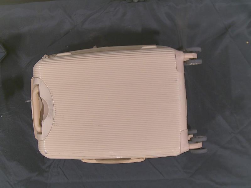 Luxury Department Store - Luggage - Mystery Box - Original MSRP $125