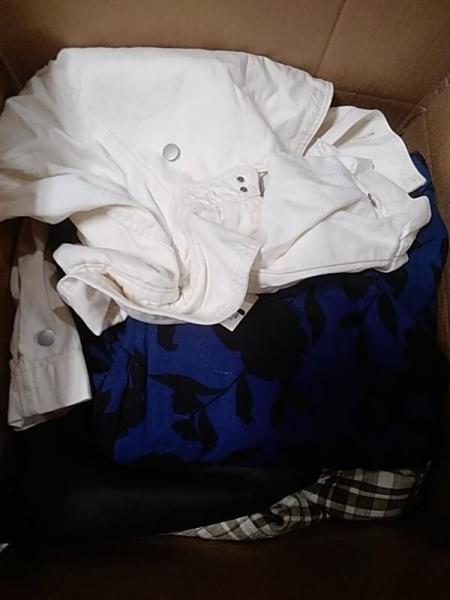 Apparel - Lands' End, Levi's, Goodfellow & Co, Future Collective, Universal Thread - Est Retail $4,451- 1 plt