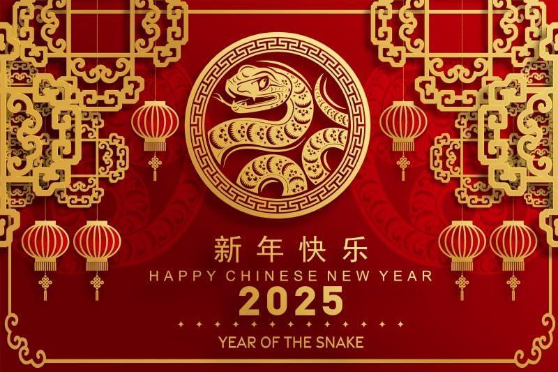 Camera - Canessioa Chinese New Year Backdrop, Kate Easter Backdrop, Knagsfa Kids Camera - MSRP $5,706