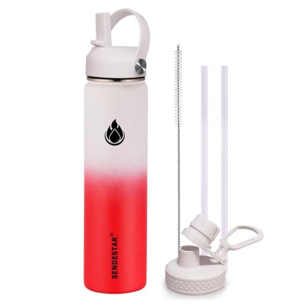 Kitchen - Sendestar Water Bottle, Linvia Coffee Cups, Grencian Mushroom Party Decor Set - MSRP $2,819