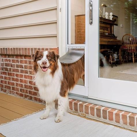 PetSafe Doggy Door for Sliding Glass Doors, Adjustable 91 7/16" to 96", No-Cut DIY Install, White - MSRP $289