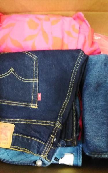 Apparel - Levi's, All In Motion, A New Day, Universal Thread, Goodfellow & Co - Est Retail $4,531- 1 plt