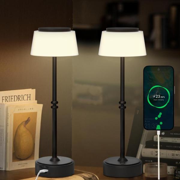 Home Improvement - FLORNIA Cordless Table Lamp, Bosceos 100FT Christmas Icicle LED Outdoor String Lights - MSRP $3,572