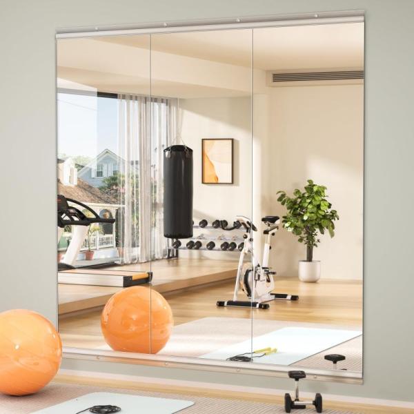 Home - Framless Home Gym Mirror, Patio Furniture Cushions, Artificial Fiddle Leaf Figs - MSRP $3,784