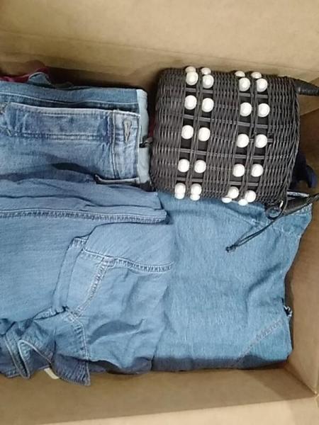 Apparel - Levi's, Houston White, All In Motion, Goodfellow & Co, Wild Fable, Kona Sol - Est Retail $5,619- 1 plt