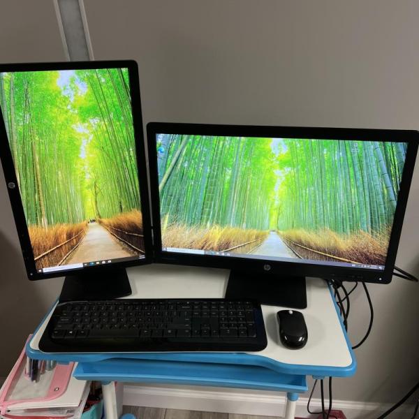 Lenovo ThinkCentre M73 Tiny Desktop - w/Monitors and more - Windows 10