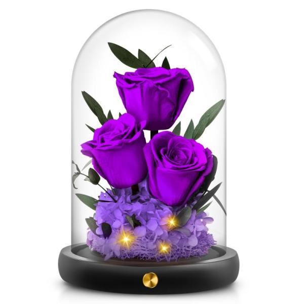 Home - Preserved Roses in Glass Gifts, Orthopedic Wedge Pillow Sets, Remembrance Angel Figurines - MSRP $19,998