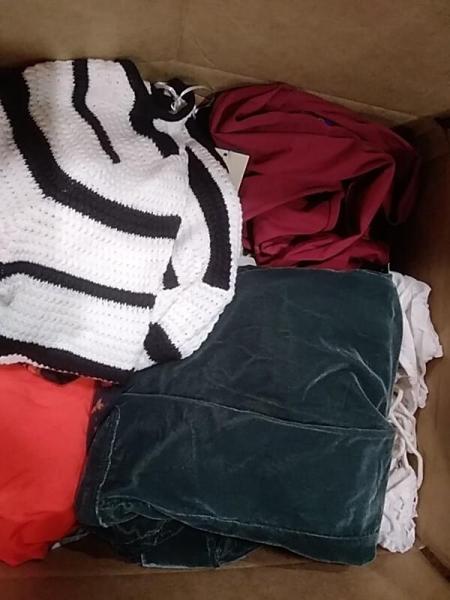 Apparel - Levi's, Future Collective, Universal Thread, Shade & Shore, A New Day - Est Retail $5,523 - 1 plt