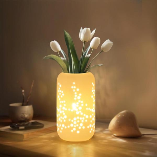 Home Improvement - Rurayati Indoor Remote Control Light, Solar String Lights, 7Degobii Camping Lantern - MSRP $1,542