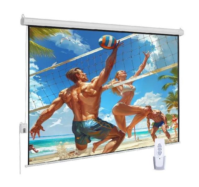 120" Electric Projection Screen - MSRP $120