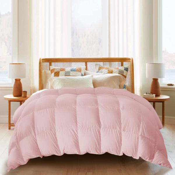 Home - Olumoon Reading Pillows, Portable Rechargable Light Boxes, Sherpa Fleece Throw Blankets - MSRP $20,917