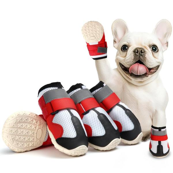 Pet Products - AOKOWN Small Dog Shoes, Migipaws Interactive Cat Ball Toy Sets, Willjoy 3pk Chew Toys - MSRP $2,244
